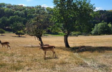 Ferienwohnung Anna - Foto 28