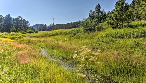 Rapid City Cabin with Hiking and ATV Trail Access - Foto 2