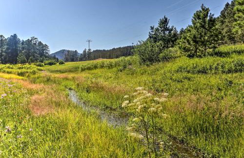 Rapid City Cabin with Hiking and ATV Trail Access - Foto 2