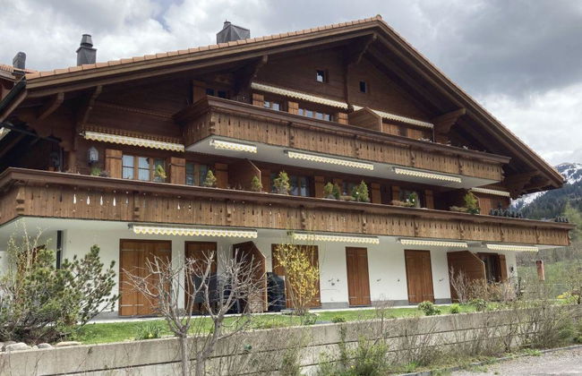 Fichte (Sulliger) - Foto 2