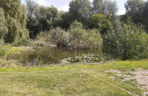 Ferienhaus am Mittelberg - Photo 7