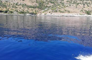 Anemoessa Stone House - Foto 48