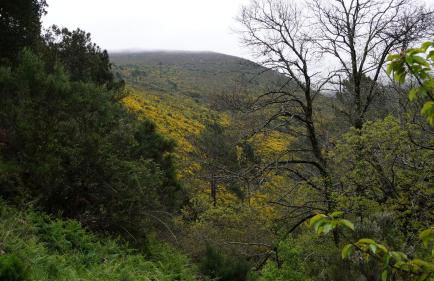 Casa da Quelha - Foto 54