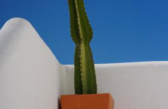 Vila Beach 1º Planta - Foto 26