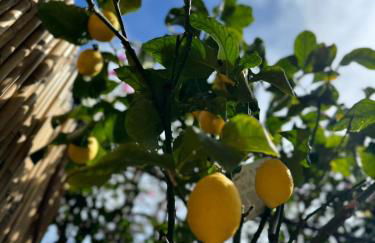 Casa OHANA CERIALE OPEN SPACE 4 PERSONE - Foto 18