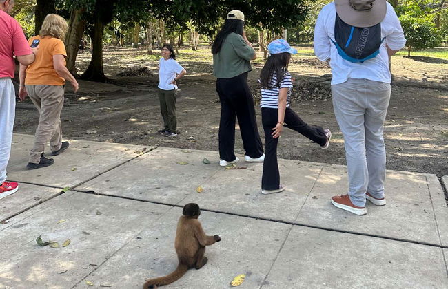 Tour de 5 dias pelo norte da Amazônia peruana - Foto 5
