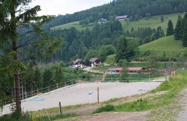 Lovely Apartment in Liebenfels Carinthia near Ski Area - Foto 10