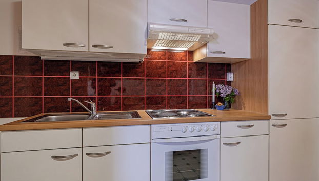 Eco Farm Mikl Spruce Tree Apartment - Foto 5, Cocina privada