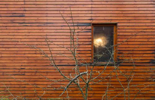 Bungalow B2 - Nature, Beach & River - Photo 8