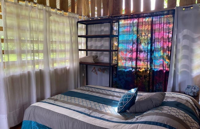 Morning Glory - Foto 8