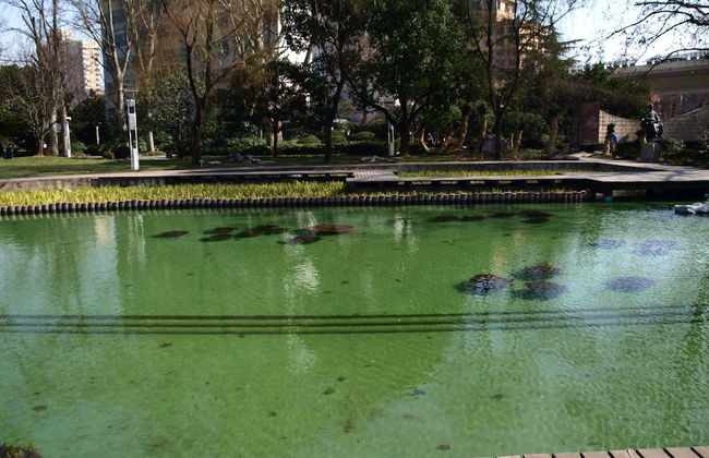 World Union Service Apartment Cosmo - Photo 63