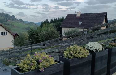 Gite Luxury à Soultzeren - Foto 20