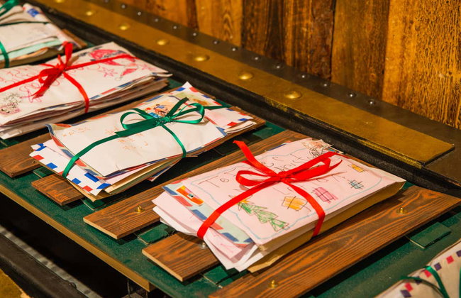 Snowmobile Ride + Reindeer & Husky Sleigh Ride - Photo 5