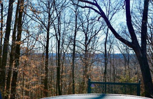 Serenity House Retreat Near MKT - Foto 37