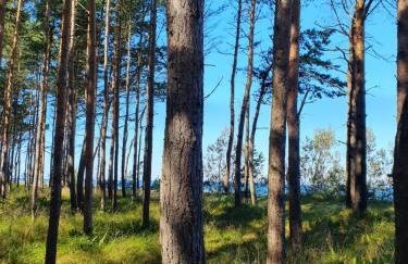 Domki Przy Tężni - Foto 39