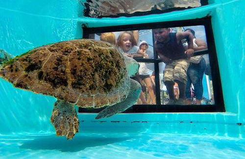 4br Private Guest Suite Pool PGA Beaches - Foto 42