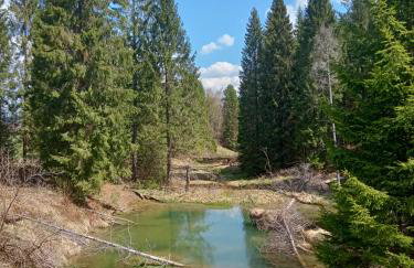 Bieszczadzka Zasadzka - Foto 27