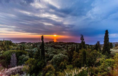 Villa Vera - Photo 19