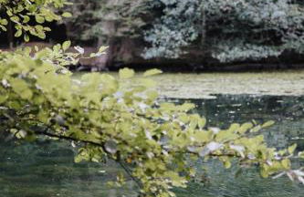 Apartment am Annaweiher - Foto 30