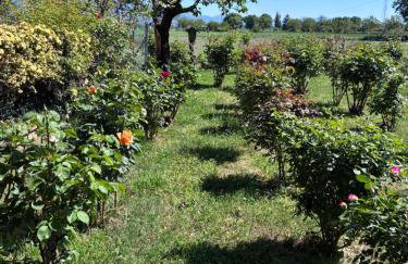 Il giardino delle rose - Foto 26