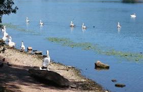 Les Terrasses sur Seine - Foto 72