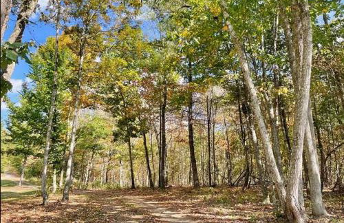 The Lily Pad Cabin, 19 Private Acres, Fire Pit - Foto 5