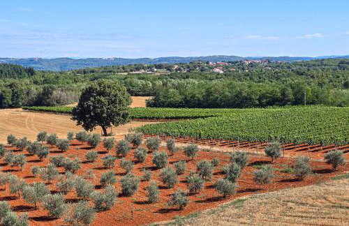 Villa Grisi by Istra Vacation - Foto 57