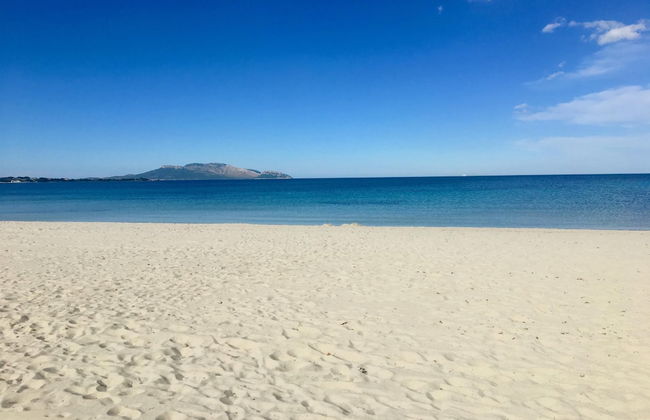 Le Dimore di Nettuno 4 With Pool - Foto 15