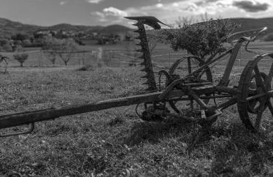 Gîte La Mosaïque - Foto 6