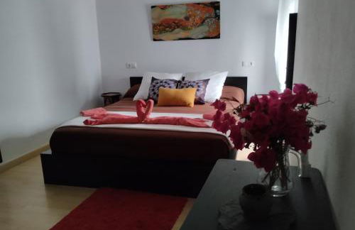 Casa Salvadora - Foto 4