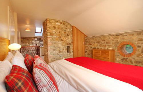 David's Organic Farm Wales - Foto 38