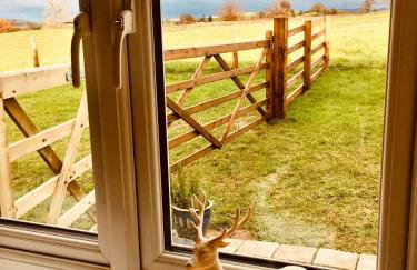 The Orchards - Foto 24