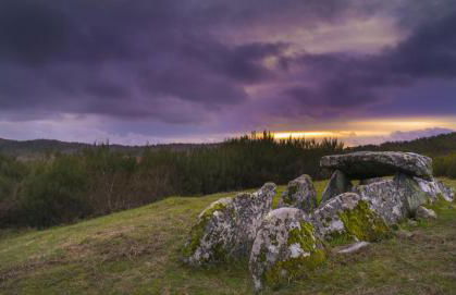 Quinta do Fontelo - Foto 32