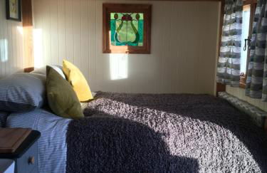 Shepherds Hut in the Hills - Nr. Mold - Foto 10