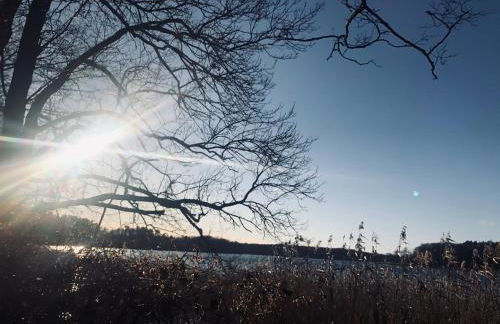 Luxus Summer Breeze Ferienhaus Lübbesee Sauna Bootssteg Templin - Photo 21