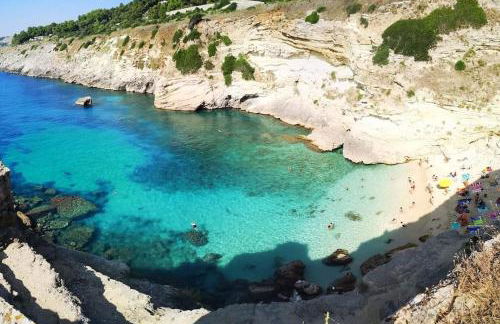 La corte di Tata Ninu - Foto 28