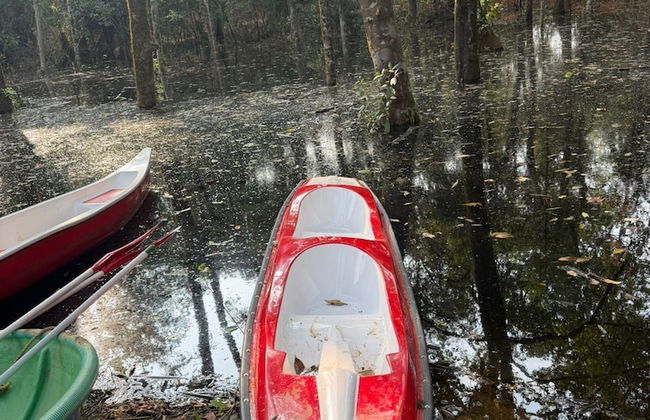 Coorg Tree House - Foto 34