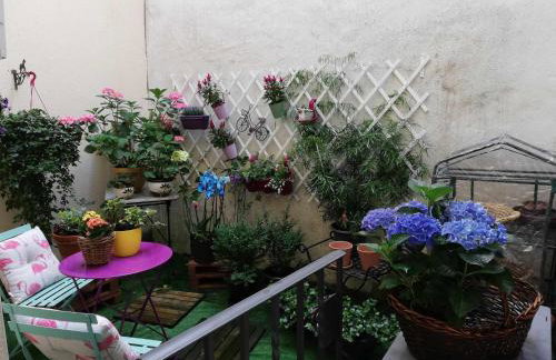 La casa del gatico - Foto 18