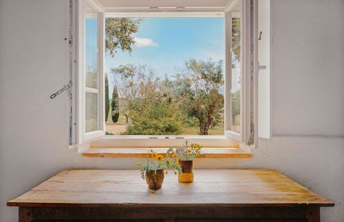 Monte do Ramalho - Foto 69