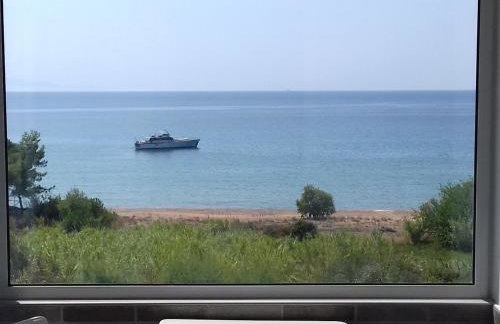 Margarita House - Photo 37