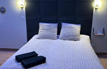 L evazion appartement Grenoble - Foto 6