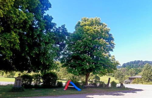 Fleischmannhof Do san ma dahoam - Foto 34