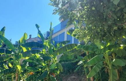 Apartments Lux with pool - Foto 22