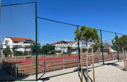 Apartments Miriam Srima - Foto 14