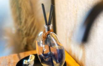 Cabana Tekoá - Teto de vidro e telão de cinema - Foto 37