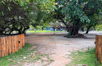 Chácara Adelly - Foto 8