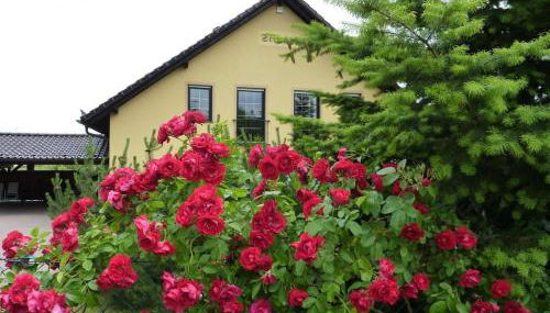 Carol's Country-House - Foto 3, Other