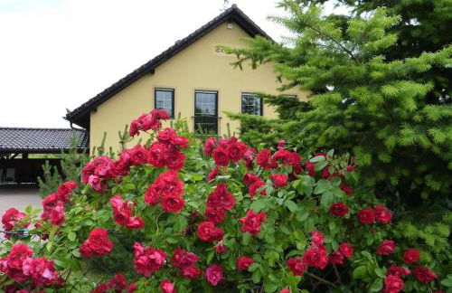 Carol's Country-House - Photo 3