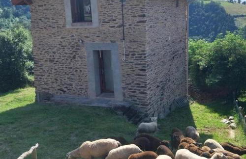 Gîte rénové avec terrasse et animaux acceptés à Saint-Chamond - FR-1-496-324 - Foto 18