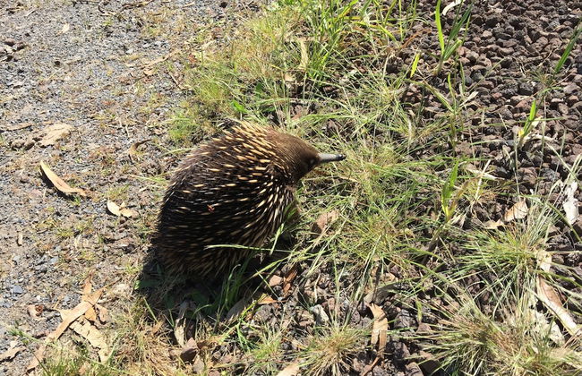 Rustic Country Lane Farmhouse in Lysterfield - Foto 29